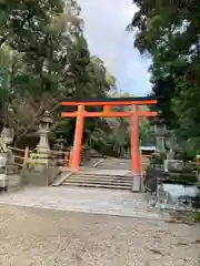 春日大社の鳥居