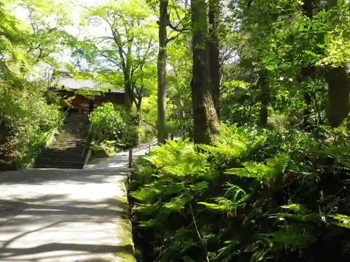 妙本寺の庭園