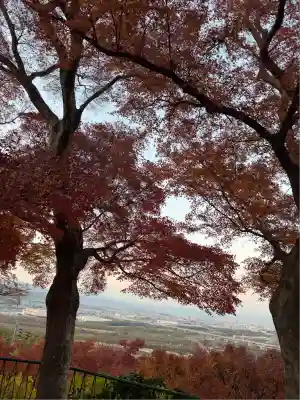 石清水八幡宮(京都府)