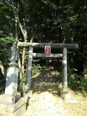浅川金刀比羅神社 の鳥居