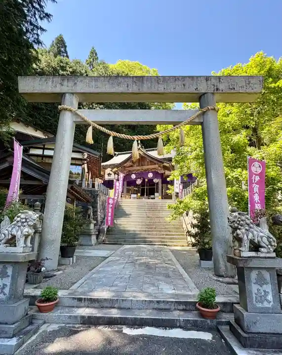 伊賀東照宮の{uncategorized: "未分類", other: "その他", undefined: "問題あり", building: "その他建物", grave: "お墓", sacred_gate: "鳥居", guardian: "狛犬", statue: "像", buddha: "仏像", history: "歴史", nature: "自然", garden: "庭園", animal: "動物", pagoda: "塔", temizu: "手水舎", mountain_gate: "山門・神門", sanctuary: "本殿・本堂", subordinate: "末社・摂社", art: "芸術", scenery: "景色", jizo: "地蔵", ema: "絵馬", goshuin: "御朱印", omikuji: "おみくじ", items: "授与品その他", amulet: "お守り", goshuincho: "御朱印帳", eats: "食事", festival: "お祭り", votive_dance: "神楽", shichigosan: "七五三参", wedding: "結婚式", experience: "体験その他", initially: "初詣", around: "周辺", anti_infection: "感染症対策"}