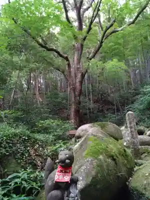 石穴稲荷神社(福岡県)