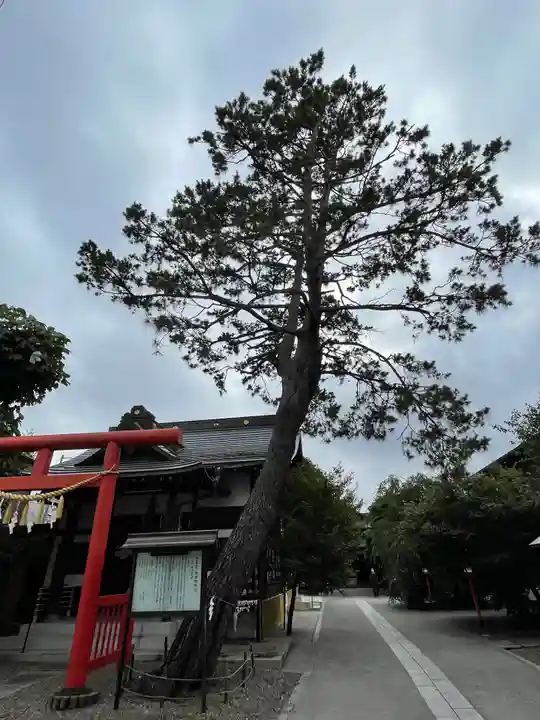 猿田彦神社の自然