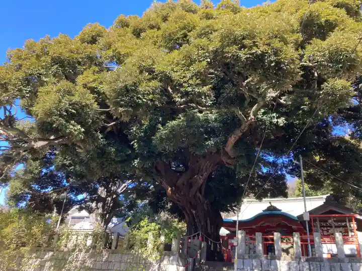 八幡大神(神奈川県)