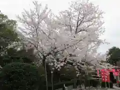 戒光寺（戒光律寺）(京都府)