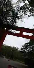 平野神社の鳥居