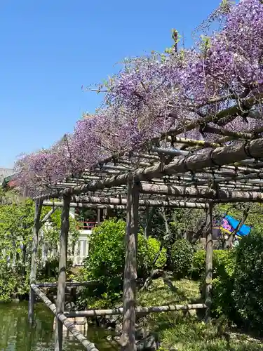亀戸天神社(東京都)