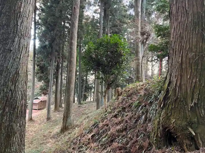 大宮温泉神社(栃木県)