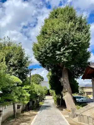 真勝院(東京都)