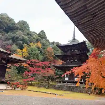 西明寺(滋賀県)