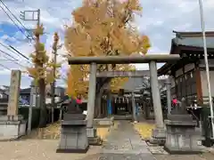 飛木稲荷神社の鳥居