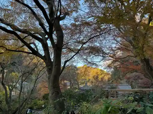 明月院の{uncategorized: "未分類", other: "その他", undefined: "問題あり", building: "その他建物", grave: "お墓", sacred_gate: "鳥居", guardian: "狛犬", statue: "像", buddha: "仏像", history: "歴史", nature: "自然", garden: "庭園", animal: "動物", pagoda: "塔", temizu: "手水舎", mountain_gate: "山門・神門", sanctuary: "本殿・本堂", subordinate: "末社・摂社", art: "芸術", scenery: "景色", jizo: "地蔵", ema: "絵馬", goshuin: "御朱印", omikuji: "おみくじ", items: "授与品その他", amulet: "お守り", goshuincho: "御朱印帳", eats: "食事", festival: "お祭り", votive_dance: "神楽", shichigosan: "七五三参", wedding: "結婚式", experience: "体験その他", initially: "初詣", around: "周辺", anti_infection: "感染症対策"}
