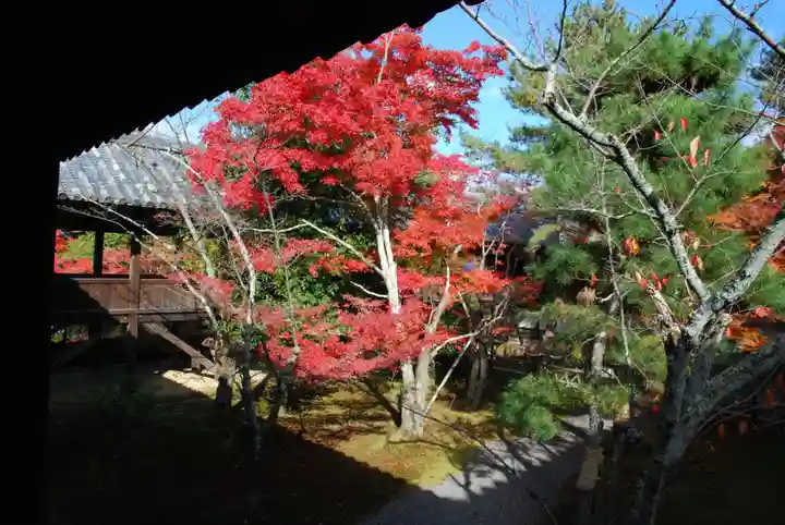 清凉寺(京都府)