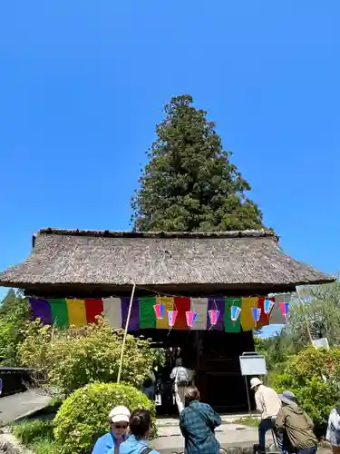 塩船観音寺(東京都)