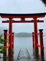 箱根神社の鳥居