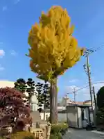 梅香寺(三重県)