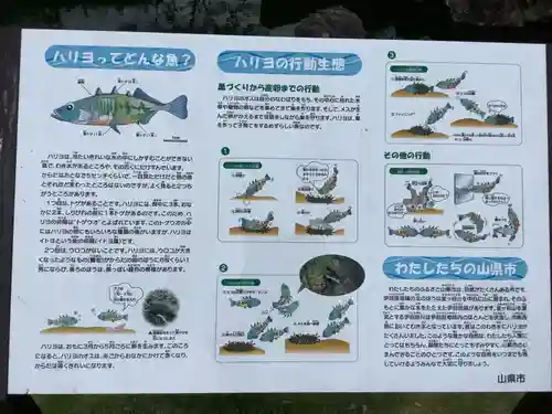 甘南美寺茶所・ハリヨ公園(岐阜県)