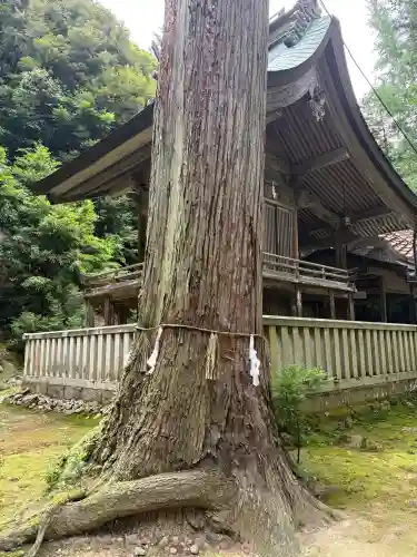 栗溪神社(鳥取県)