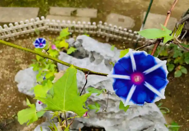 福王山 慈眼寺の自然