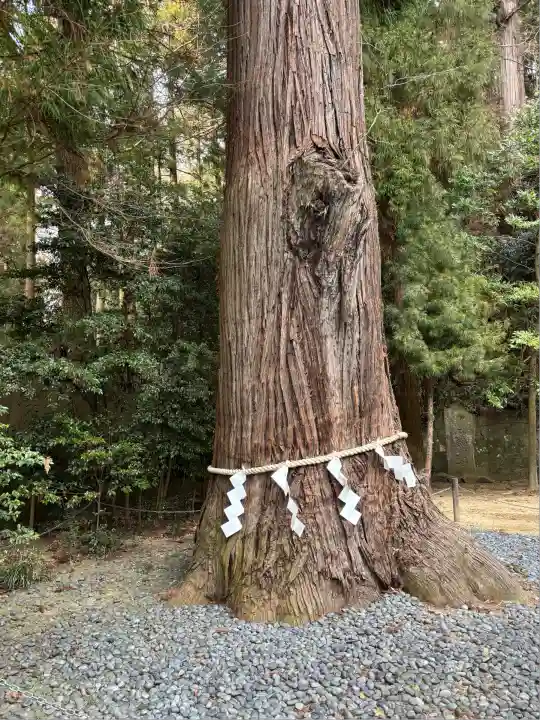 鹿嶋神社(福島県)