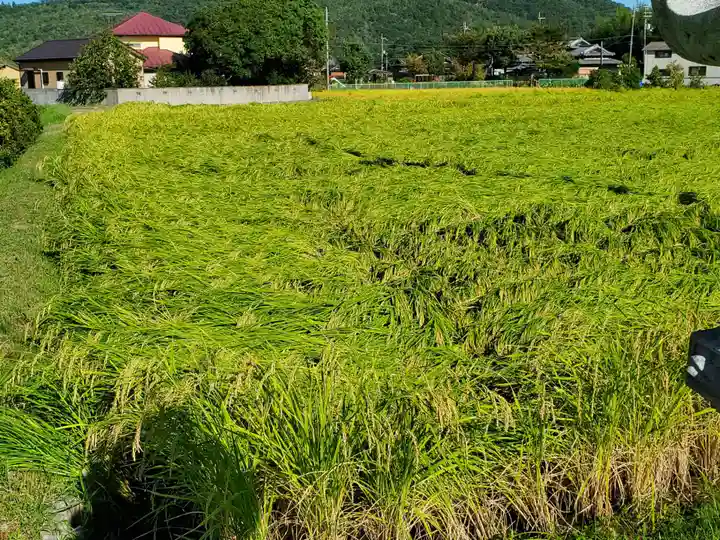塩田八幡宮の自然