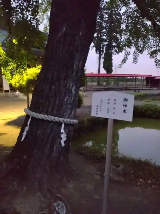 熊野神社(宮城県)