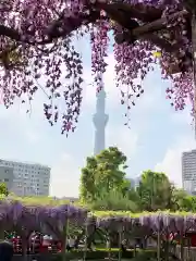 亀戸天神社の景色