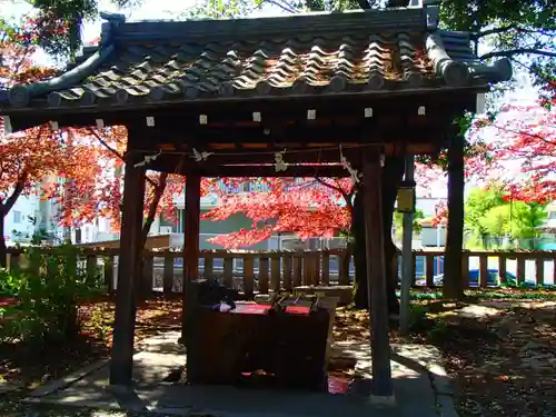 本土神社の手水舎