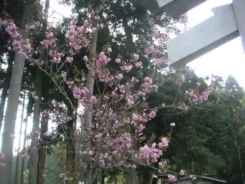 志子淵神社の自然