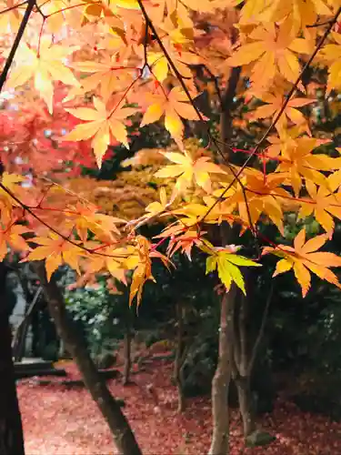 志波彦神社・鹽竈神社の自然