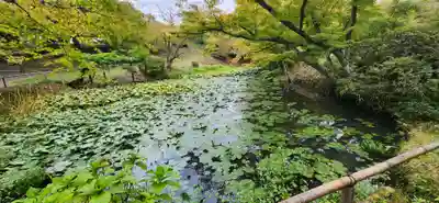 普門院（文知摺観音）の周辺