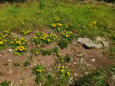 長沼八幡宮の自然