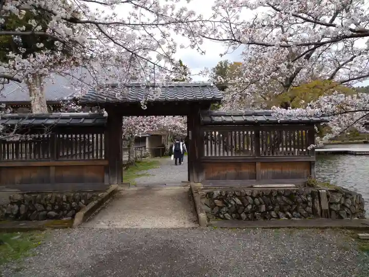 大覚寺(京都府)