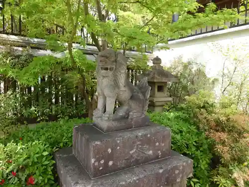 晴明神社の狛犬