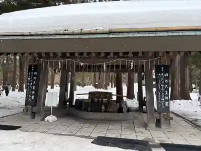 北海道神宮の手水舎