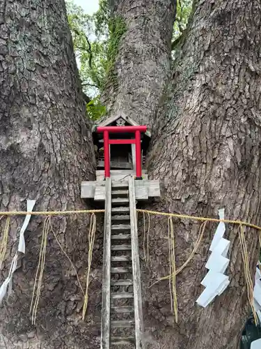 加藤神社(熊本県)