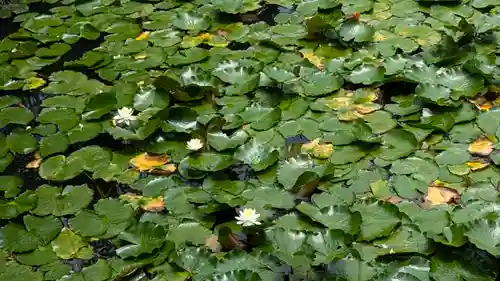 大原野神社(京都府)