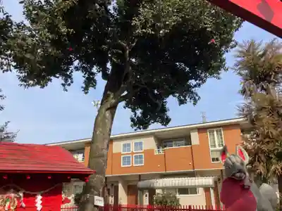 椿稲荷神社(神奈川県)