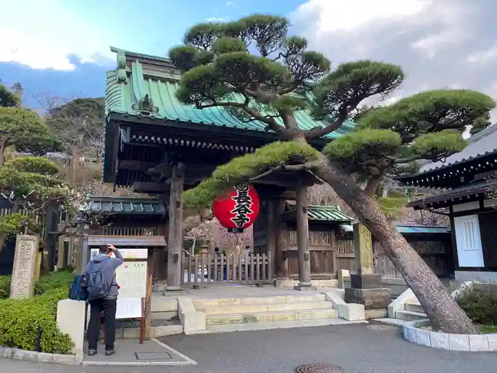 長谷寺の山門・神門
