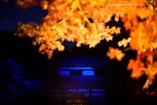 長谷寺(神奈川県)