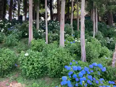 竹原神社(茨城県)