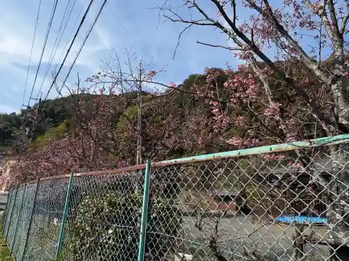 松尾大社の{uncategorized: "未分類", other: "その他", undefined: "問題あり", building: "その他建物", grave: "お墓", sacred_gate: "鳥居", guardian: "狛犬", statue: "像", buddha: "仏像", history: "歴史", nature: "自然", garden: "庭園", animal: "動物", pagoda: "塔", temizu: "手水舎", mountain_gate: "山門・神門", sanctuary: "本殿・本堂", subordinate: "末社・摂社", art: "芸術", scenery: "景色", jizo: "地蔵", ema: "絵馬", goshuin: "御朱印", omikuji: "おみくじ", items: "授与品その他", amulet: "お守り", goshuincho: "御朱印帳", eats: "食事", festival: "お祭り", votive_dance: "神楽", shichigosan: "七五三参", wedding: "結婚式", experience: "体験その他", initially: "初詣", around: "周辺", anti_infection: "感染症対策"}