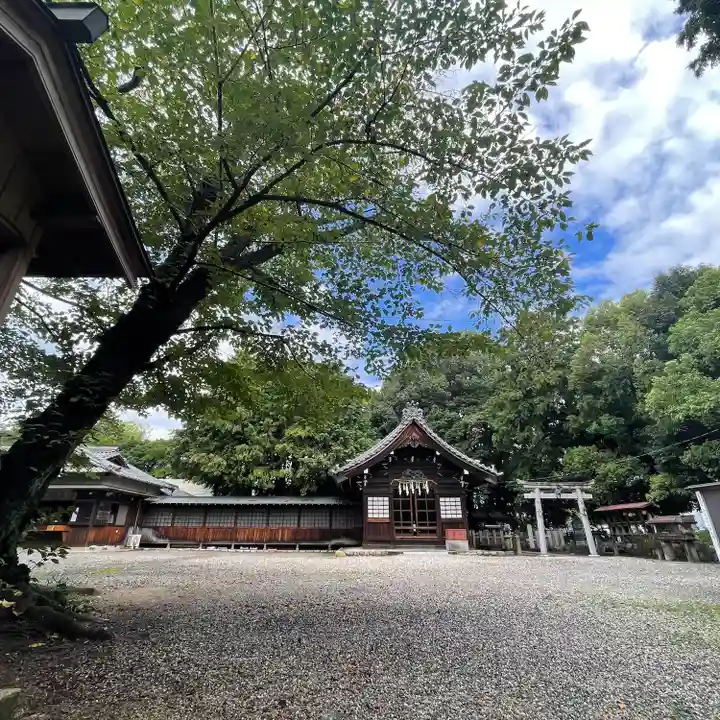 八幡社(柏井町)の本殿・本堂