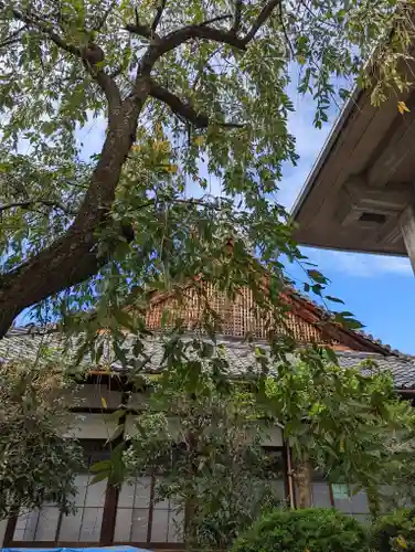本隆寺（本妙興隆寺）(京都府)