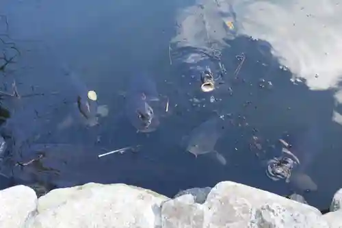 洗足池弁財天(東京都)