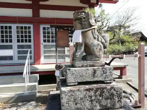 住吉神社の狛犬