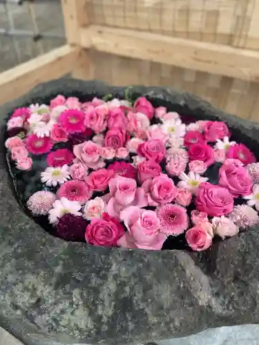 発寒神社(北海道)