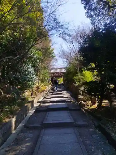 高台寺（高台寿聖禅寺・高臺寺）(京都府)