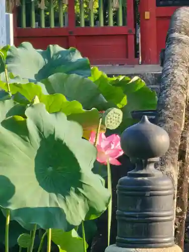 伊賀八幡宮(愛知県)