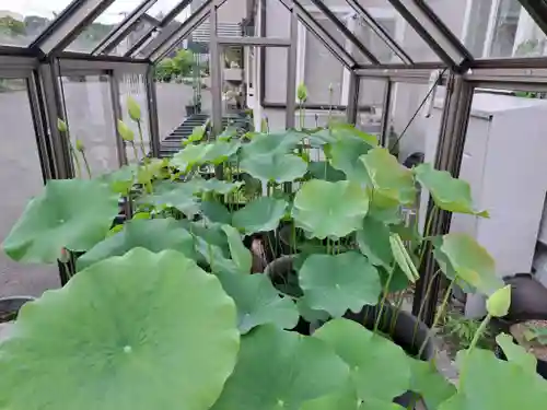 極楽山　浄土寺(北海道)